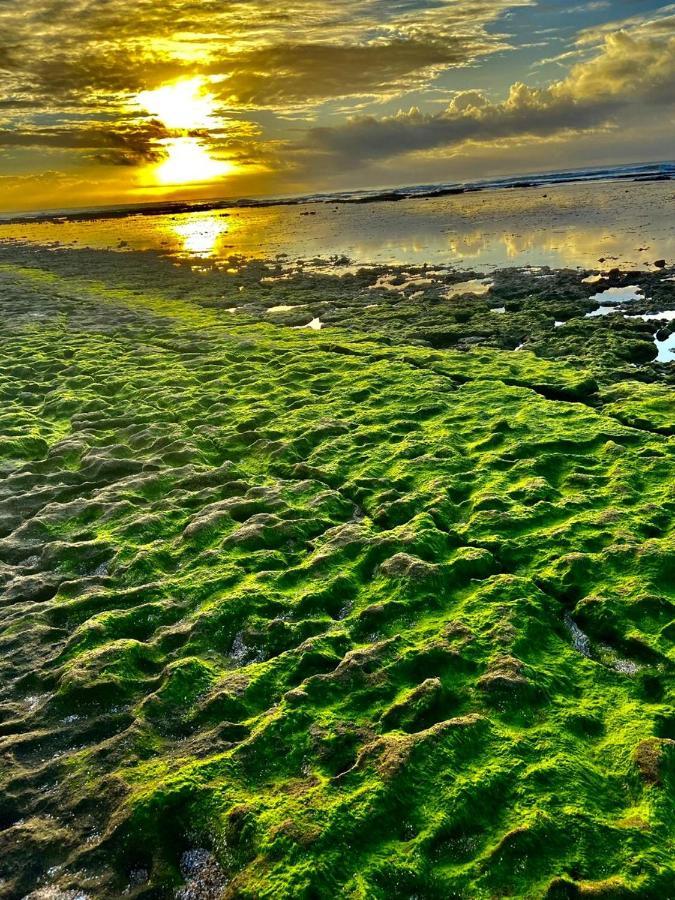 Paraiso Dos Corais Гуарахуба Экстерьер фото